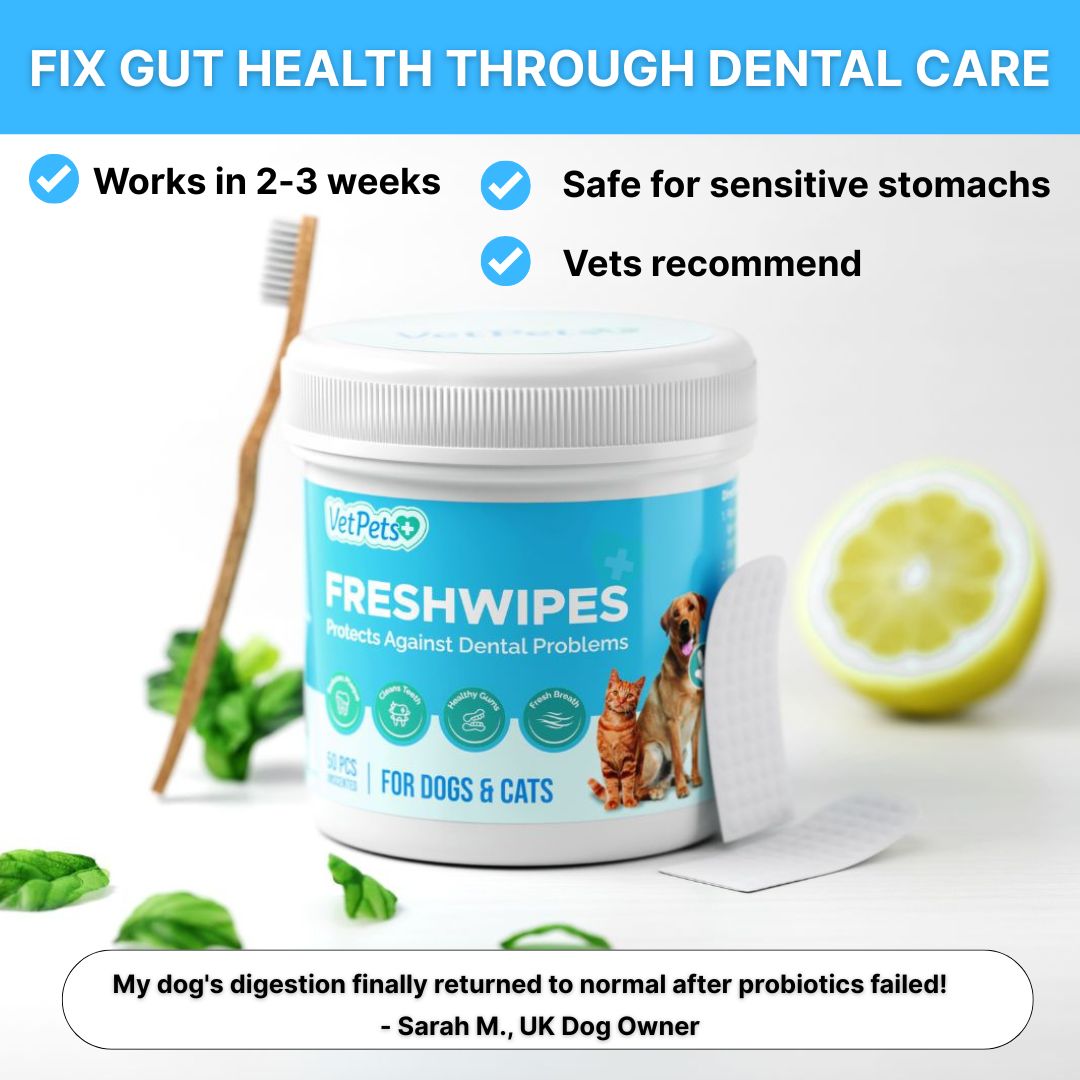 FreshWipes Kit – Supports Healthy Digestion 17