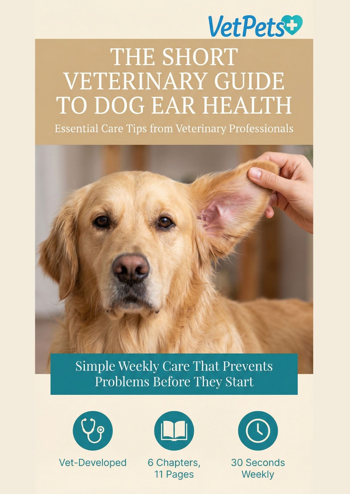 The SHORT VetPets Guide To Dog Ear Health