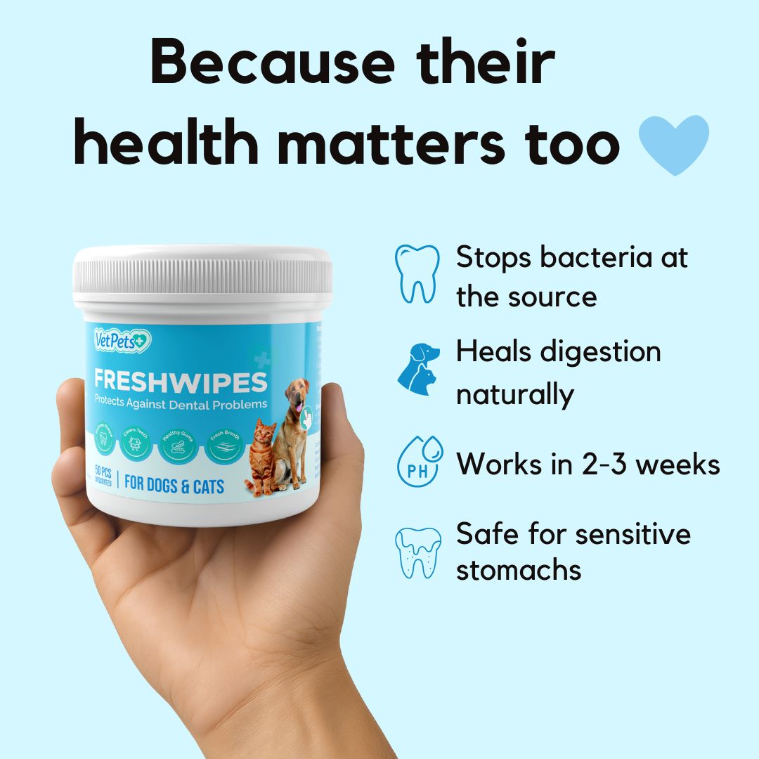 FreshWipes Kit – Supports Healthy Digestion 17