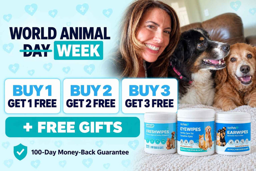 World Animal Week Offers