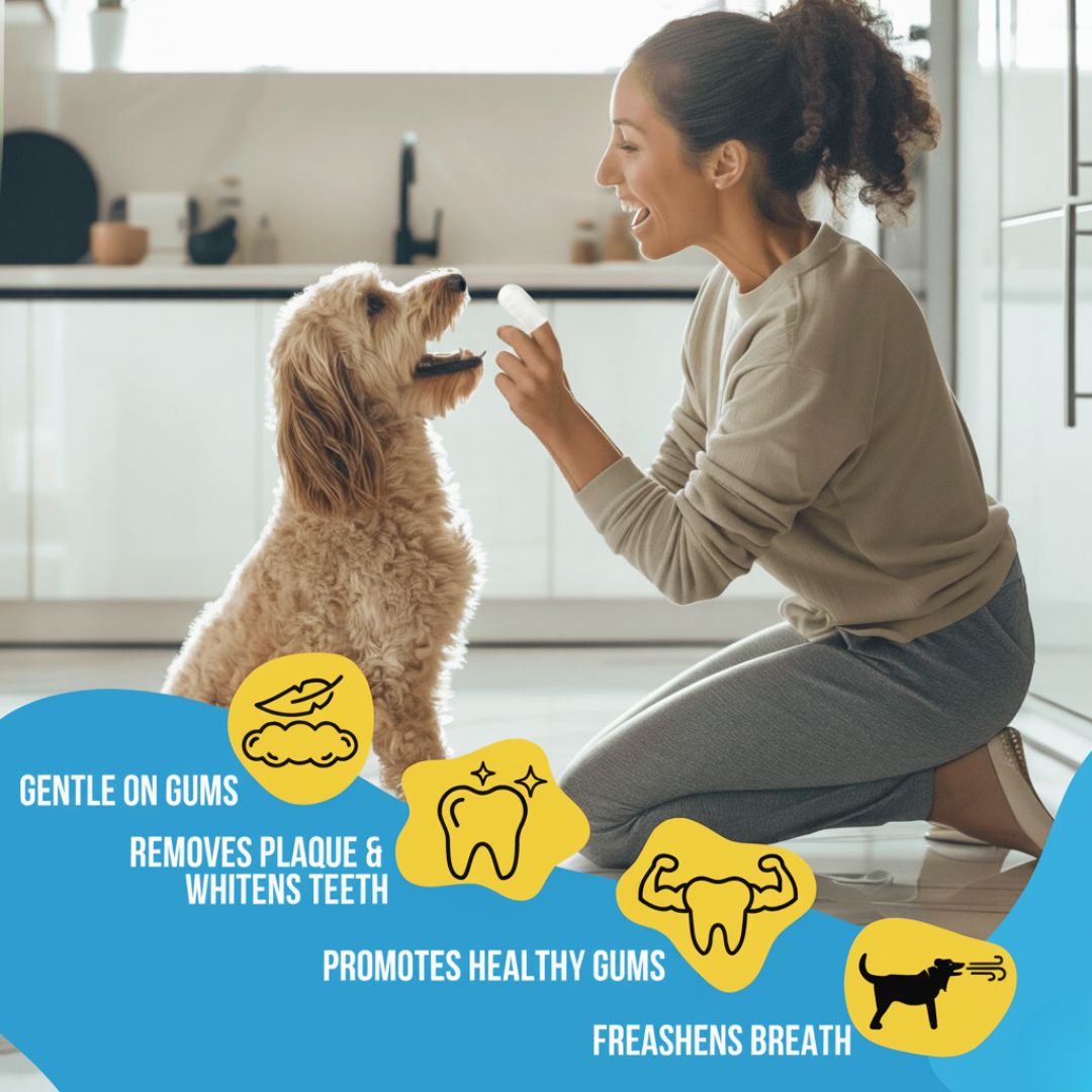 FreshWipes Kit – Supports Healthy Digestion 17