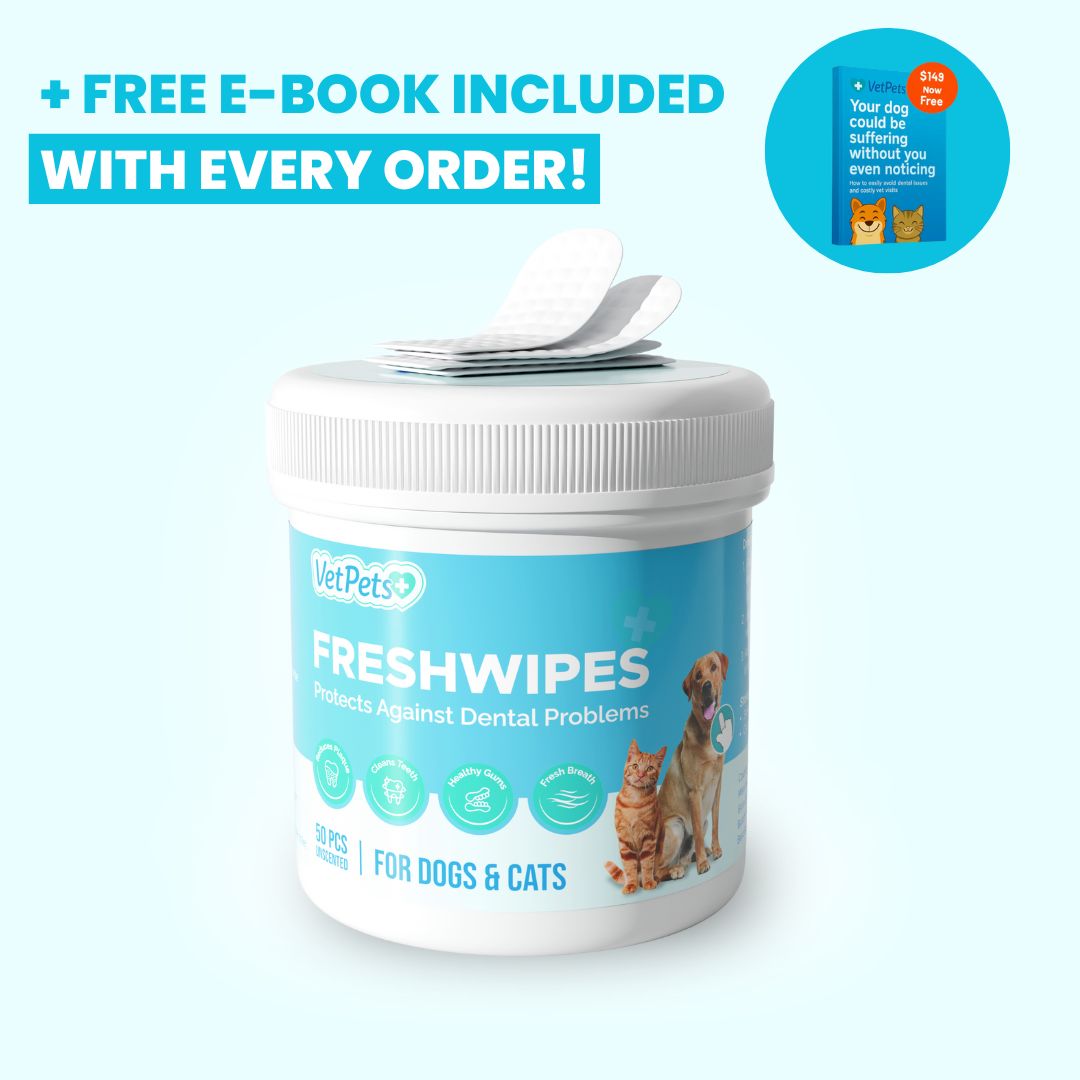 FreshWipes Kit – Supports Healthy Digestion 17