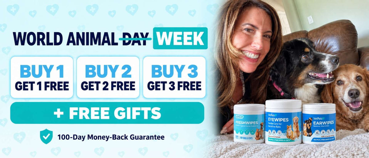 World Animal Week Offers